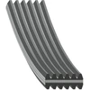 Image de FEBI BILSTEIN 34459 Courroie Poly-V