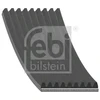 Image de FEBI BILSTEIN 48449 Courroie Poly-V