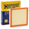 Image de HENGST FILTER E1334L Filtre à air Cartouche filtrante