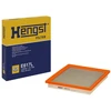 Image de HENGST FILTER E617L Filtre à air Cartouche filtrante