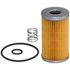 Image de HENGST FILTER E77KP D723 Filtre à Carburant avec joints