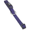 Image de Collier pour chien Nobby Pet Classic Bleu 45 cm 74702-06