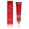 Image de IGORA ROYAL #0-89