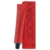 Image de IGORA ROYAL #7-77