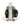 Image de BOSCH 0 986 221 037 Bobine d'allumage