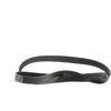Image de BOSCH 1 987 946 257 Courroie Poly-V