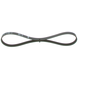 Image de BOSCH 1 987 946 109 Courroie Poly-V Elastic