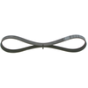 Image de BOSCH 1 987 946 126 Courroie Poly-V Elastic