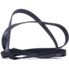 Image de BOSCH 1 987 946 281 Courroie Poly-V