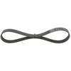 Image de BOSCH 1 987 946 144 Courroie Poly-V Elastic