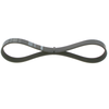 Image de BOSCH 1 987 946 152 Courroie Poly-V Elastic