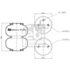Image de FEBI BILSTEIN 101268 Soufflet à air, suspension pneumatique Essieu arrière