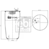 Image de FEBI BILSTEIN 101348 Soufflet à air, suspension pneumatique Essieu arrière