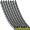 Image de FEBI BILSTEIN 179766 Courroie Poly-V