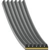 Image de FEBI BILSTEIN 181267 Courroie Poly-V