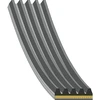 Image de FEBI BILSTEIN 181286 Courroie Poly-V