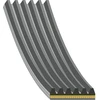Image de FEBI BILSTEIN 183322 Courroie Poly-V