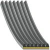 Image de FEBI BILSTEIN 183323 Courroie Poly-V
