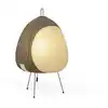 Image de Vitra AKARI 1AG