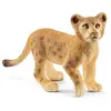 Image de Animal Miniature Lionceau Marron