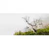 Image de Architects Paper DEATHTREE PUZZLE