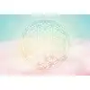 Image de Architects Paper FLOWER OF LIFE