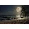 Image de Architects Paper BEACH AT NIGHT
