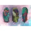 Image de Architects Paper MOTLEY FEATHER