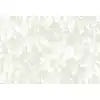 Image de Architects Paper LIGHT LEAVES