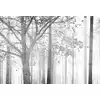 Image de Architects Paper EDGE