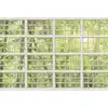Image de Architects Paper BRICKS OF GLASS