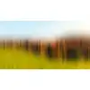 Image de Architects Paper DIFFUSE TREE ROW