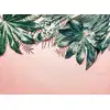 Image de Architects Paper LEAVES VARIETY