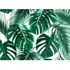 Image de Architects Paper PALM LEAVES