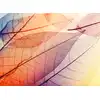 Image de Architects Paper LIMPID LEAF