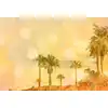Image de Architects Paper PALM OASIS