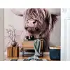 Image de Architects Paper HIGHLAND CATTLE 1