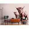 Image de Architects Paper HIGHLAND COWS