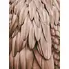 Image de Architects Paper FEATHERS