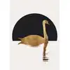 Image de Architects Paper THE SWAN
