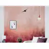 Image de Architects Paper WARM SUNSET