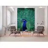 Image de Architects Paper PEACOCK