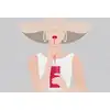 Image de Architects Paper AUDREY
