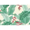 Image de Architects Paper HELICONIA