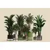 Image de Architects Paper PLANT SHOP