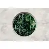 Image de Architects Paper DEEP GREEN