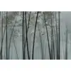 Image de Architects Paper IN THE BAMBOO