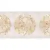 Image de Architects Paper VENUS