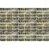 Image de Architects Paper FACTORY