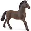 Image de Horse Club Étalon Oldenbourg Marron